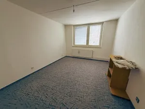 Prodej rodinného domu, Jihlava, Lípová, 230 m2