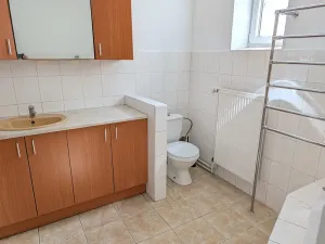 Prodej vícegeneračního domu, Dříteň, 332 m2