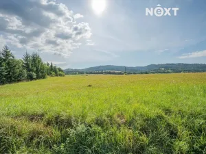 Prodej pozemku pro bydlení, Petrov nad Desnou, 977 m2