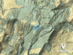 Prodej podílu lesa, Životice u Nového Jičína, 5078 m2