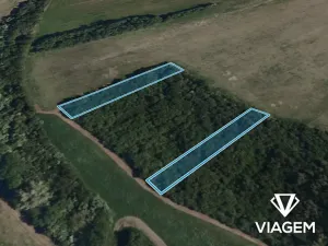 Prodej lesa, Kurdějov, 2462 m2