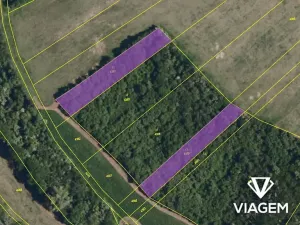 Prodej lesa, Kurdějov, 2462 m2