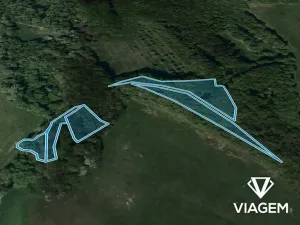 Prodej podílu lesa, Bohuslavice nad Vláří, 2999 m2