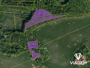 Prodej podílu lesa, Bohuslavice nad Vláří, 2999 m2