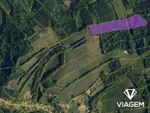 Prodej podílu lesa, Metylovice, 12982 m2