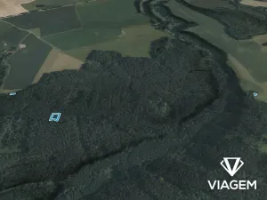Prodej lesa, Římov, 1365 m2