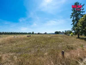 Prodej pozemku pro bydlení, Čermná nad Orlicí - Číčová, 2598 m2