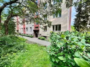 Pronájem bytu 2+1, Děčín, Kamenická, 50 m2