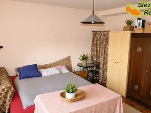 Prodej rodinného domu, Ostrava, Proskovická, 310 m2