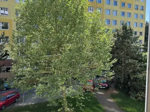 Prodej bytu 3+1, Rakovník, 65 m2