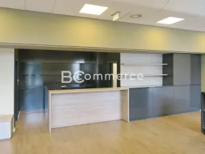 Pronájem obchodního prostoru, Brno, 214 m2