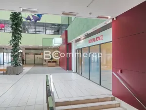 Pronájem obchodního prostoru, Brno, 214 m2