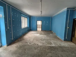 Pronájem skladu, Praha - Břevnov, Nad Kajetánkou, 70 m2