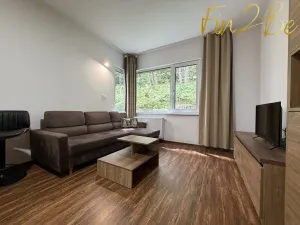 Pronájem bytu 1+kk, Ostrov - Horní Žďár, 28 m2