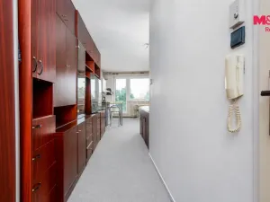 Pronájem bytu 1+kk, Pardubice - Zelené Předměstí, nábřeží Závodu míru, 32 m2