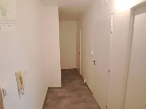 Pronájem bytu 1+1, Ostrava, Pavlovova, 39 m2