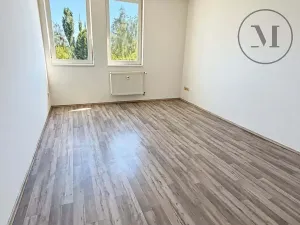 Pronájem bytu 2+kk, Planá nad Lužnicí, Průmyslová, 62 m2