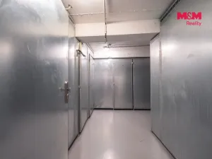 Prodej obchodního prostoru, Praha - Žižkov, Biskupcova, 54 m2