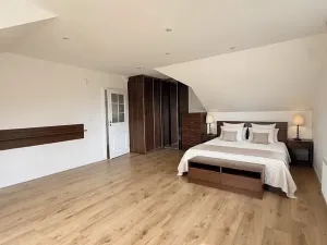 Pronájem rodinného domu, Čtyřkoly, 243 m2