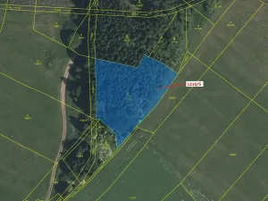 Dražba lesa, Volfířov, 3832 m2