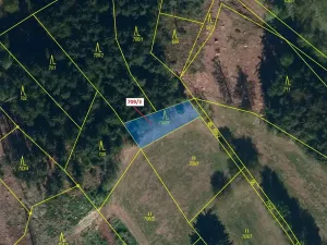 Dražba lesa, Řečice, 350 m2