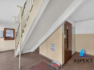 Pronájem bytu 1+kk, Praha - Podolí, Kaplická, 27 m2