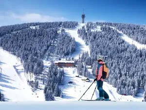 Prodej bytu 2+kk, Loučná pod Klínovcem, 51 m2
