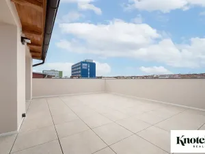 Pronájem bytu 6+kk a větší, Brno, Štefánikova, 400 m2