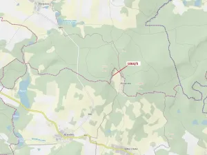 Dražba lesa, Volfířov, 48 m2