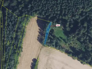 Dražba lesa, Bělá nad Svitavou, 212 m2