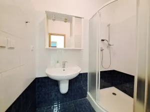 Pronájem obchodního prostoru, Tečovice, 890 m2