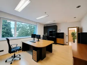Pronájem obchodního prostoru, Tečovice, 890 m2