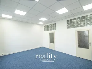 Pronájem kanceláře, Brno, Křenová, 24 m2