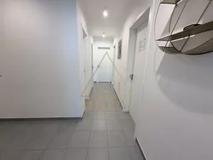 Pronájem bytu 3+kk, Praha - Žižkov, Olgy Havlové, 86 m2