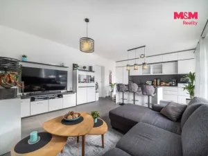 Prodej bytu 3+kk, Rokycany - Borek, Pražská, 72 m2
