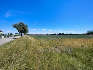 Prodej louky, Vodňany, 3872 m2