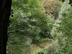 Prodej chaty, Krňany - Třebsín, 24 m2
