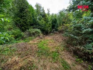 Prodej chaty, Šternberk, 20 m2