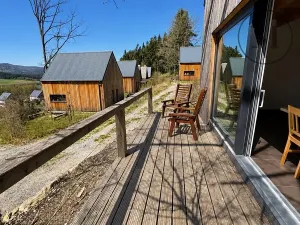 Pronájem chaty, Horní Planá, Náměstí, 94 m2