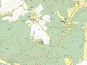 Prodej lesa, Chyše, 7352 m2