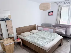 Pronájem bytu 2+1, Brno, Ptašínského, 57 m2