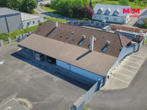 Pronájem obchodního prostoru, Drslavice, 365 m2