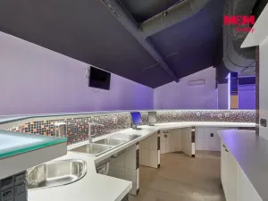 Pronájem obchodního prostoru, Drslavice, 365 m2