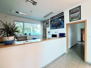 Pronájem obchodního prostoru, Tečovice, 706 m2