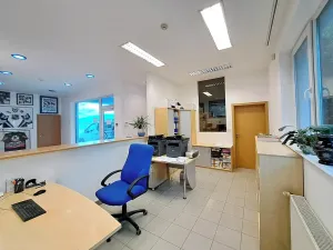 Pronájem obchodního prostoru, Tečovice, 706 m2