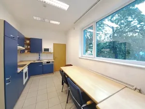 Pronájem výrobních prostor, Tečovice, 890 m2