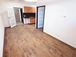Pronájem bytu 2+kk, Polepy, 45 m2