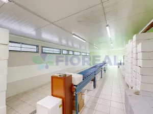 Prodej výrobních prostor, Lhůta, 320 m2