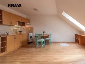 Prodej bytu 1+kk, Břeclav, Šilingrova, 54 m2