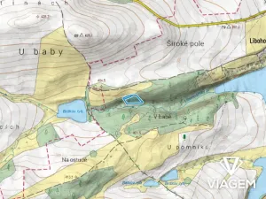 Prodej podílu lesa, Vrchotovy Janovice, 515 m2